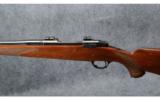 Ruger M77 (Tang Safety) 7MM Mag - 5 of 9
