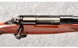 Winchester Model 70 7MM Rem Mag - 6 of 8