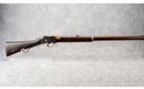 Enfield Martini-Henry MK IV .450 Smoothbore - 1 of 8