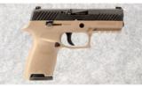 Sig Sauer P320 Compact Medium 9 MM - 1 of 4