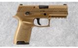 Sig Sauer P320 Compact Medium 9MM - 1 of 4