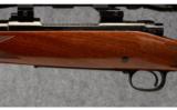 Winchester 70 XTR Varmint .22-250 Rem - 6 of 9