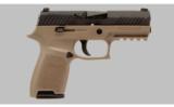 Sig Sauer P320 Compact Medium 9 MM - 1 of 4