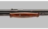 Winchester 1906 .22 LR - 2 of 9