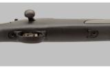 Remington 700 SPS Varmint .204 Ruger - 8 of 9