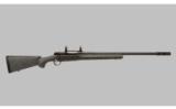 Winchester 70 Laredo 7MM Remington Magnum - 1 of 8