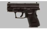 Springfield XD-9 Sub Compact 9mm - 4 of 4
