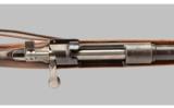 DWM Argentine 1891 Engineer's Carbine 7.65x53mm - 9 of 9