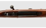 Winchester 70 Safari Express .375 H&H - 9 of 9