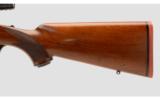 Ruger M77 7x57MM Mauser - 7 of 9