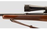Winchester 70 .22 Hornet - 5 of 9