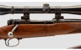 Winchester 70 .22 Hornet - 3 of 9