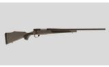 Weatherby Vanguard .22-250 Remington - 1 of 9
