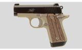 Kimber Micro Carry .380 ACP - 4 of 4