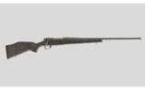 Weatherby Vanguard Back Country .300 WBY MAG - 1 of 7