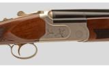 Arthemis Pointer 12 Gauge - 3 of 9