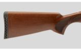 Arthemis Pointer 12 Gauge - 4 of 9