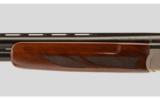 Arthemis Pointer 12 Gauge - 5 of 9