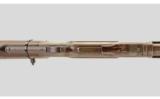 Winchester 1873 .22 Short - 8 of 9