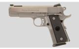 Para Ordnance P13-45 Custom .45 ACP - 4 of 4