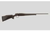 Steyr MK 111 Professional .25-06 Remington - 1 of 9