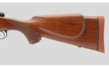 Winchester 70 Super Express .458 Winchester Magnum - 7 of 9
