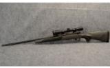 Weatherby ~ Vanguard ~ .257 Weatherby - 9 of 9