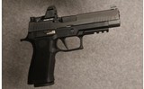 Sig Sauer~P320~9mm Luger