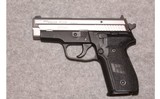 Sig Sauer ~ P229 ~ .40 S&W - 2 of 2