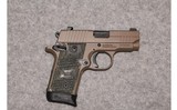 SIG Sauer ~ P238 ~ .380 Auto - 3 of 3