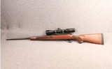 Winchester ~ Model 70 Featherweight ~ .270 Win - 6 of 11