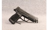 Sig Sauer ~ P365 XL ~ 9mm - 1 of 2