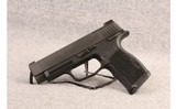 Sig Sauer ~ P365 XL ~ 9mm - 2 of 2