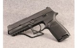 SIG Sauer ~ P320 ~9mm