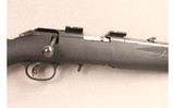 Ruger ~ American ~ .22 Long Rifle - 3 of 9