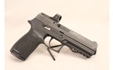 SIG SAUER ~ P320 ~ 9mm