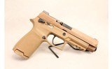 SIG SAUER ~ P320 M17 ~ 9mm