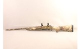 Browning ~ X-Bolt ~ .204 Ruger - 7 of 12