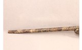 Browning ~ X-Bolt ~ .204 Ruger - 12 of 12