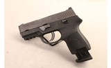 SIG SAUER ~ P250 ~ 9mm - 2 of 2