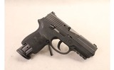 SIG SAUER ~ P250 ~ 9mm
