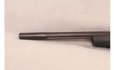 Ruger ~ 10/22 ~ .22 Long Rifle - 10 of 10