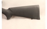 Ruger ~ 10/22 ~ .22 Long Rifle - 7 of 10