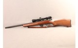 Marlin ~ 17V ~ .17 HMR - 6 of 10