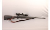 Savage ~ 110 ~ .270 Winchester