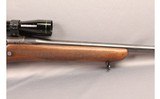 Springfield ~ Express ~ .30 cal - 4 of 10