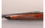 Winchester ~ Model 70 ~ .300 Win Mag - 8 of 9