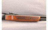 Winchester ~ 290 ~ .22 S, L, LR - 4 of 10