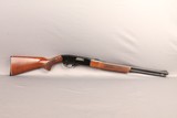 Winchester ~ 290 ~ .22 S, L, LR - 1 of 10