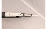 Ruger ~ 10/22 ~ .22 Long Rifle - 11 of 11